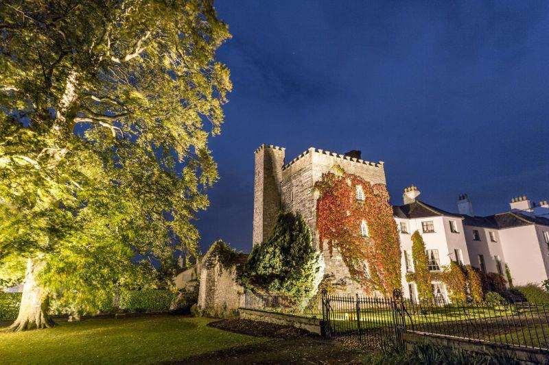 Готель Barberstown Castle Straffan Екстер'єр фото