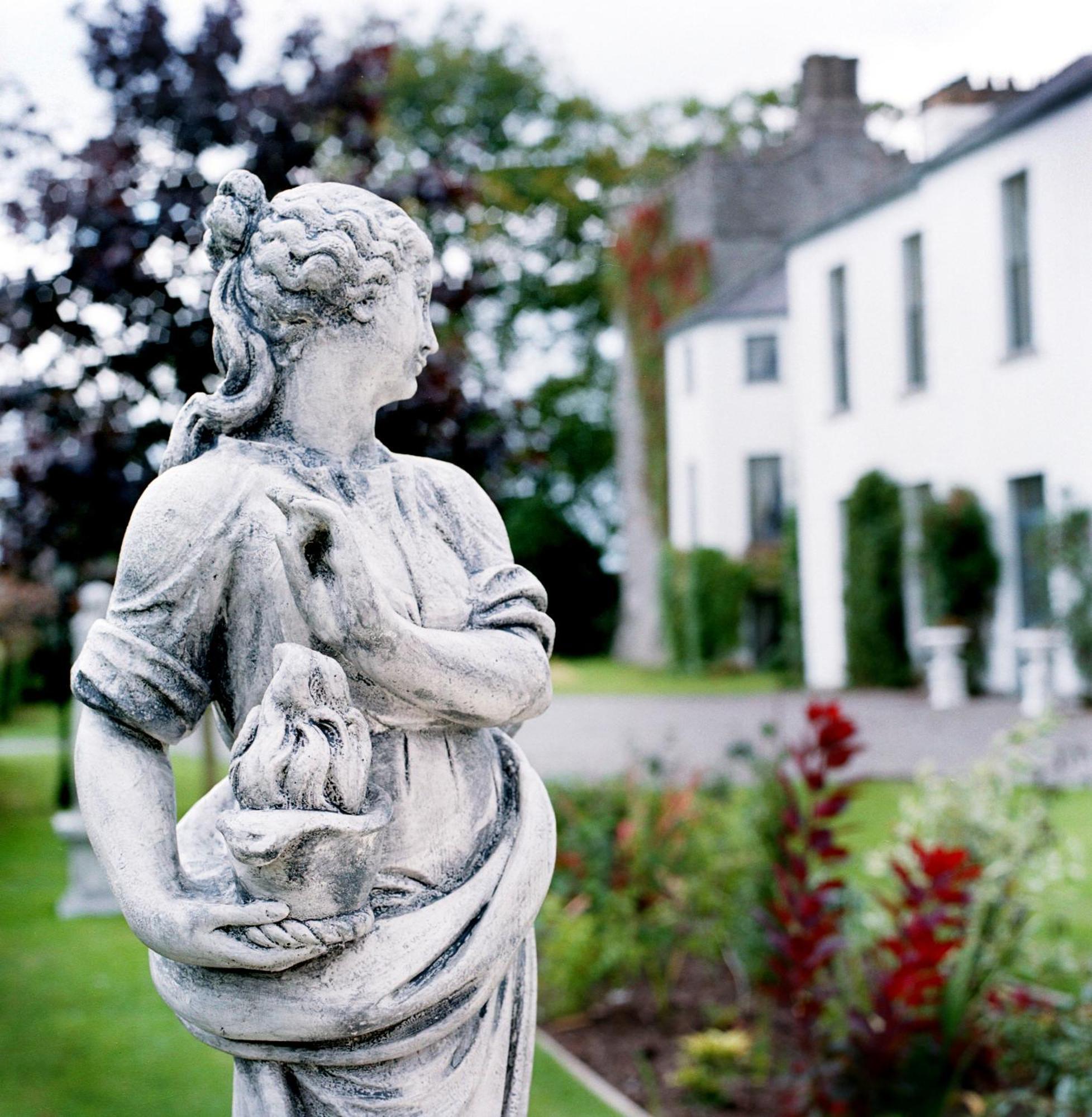 Готель Barberstown Castle Straffan Екстер'єр фото